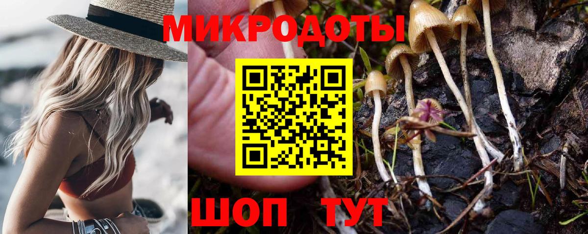 Псилоцибиновые грибы ЛСД Мурманск