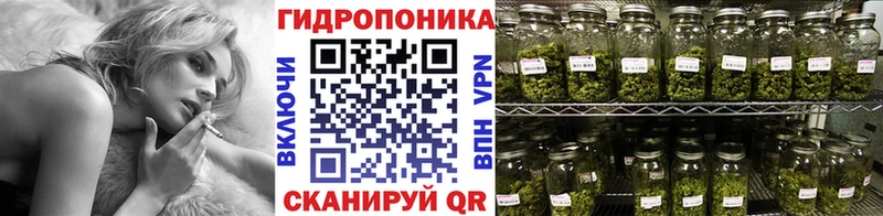 Конопля SATIVA & INDICA как найти закладки Мурманск
